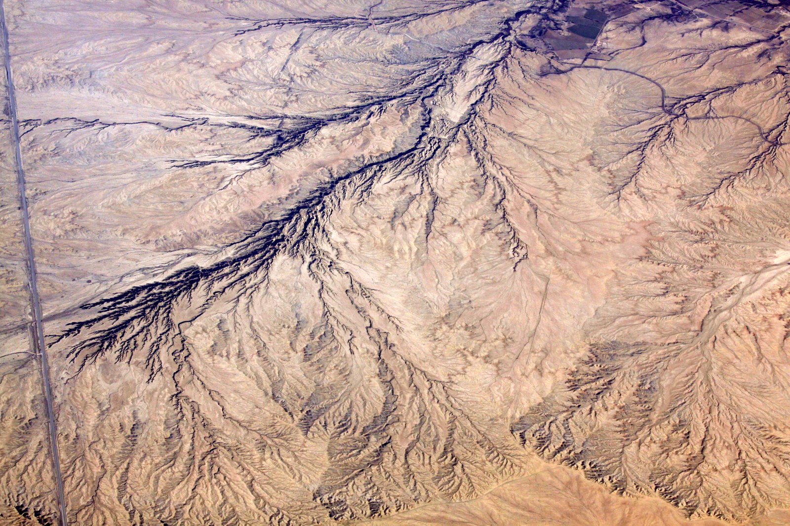 [2009-04-06+114223+5.JPG]