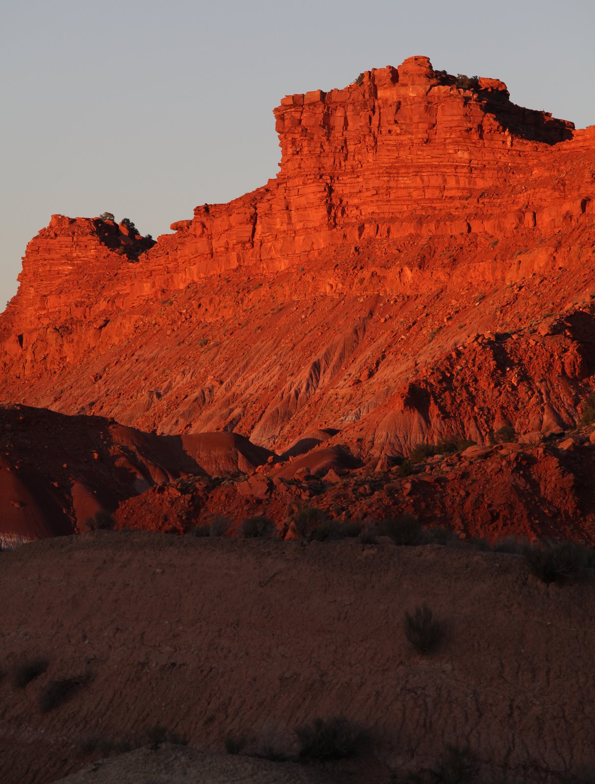 [2009-04-06+213902+6.JPG]