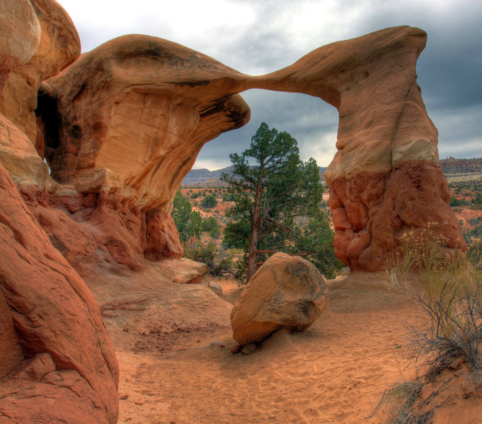 [2009-04-10+155450+3_4_5.jpg]