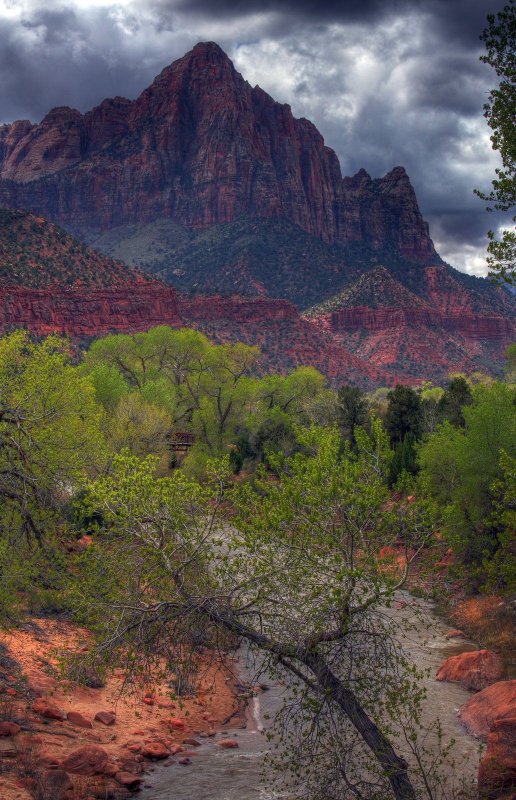 [2009-04-11+115352+3_4_5.jpg]