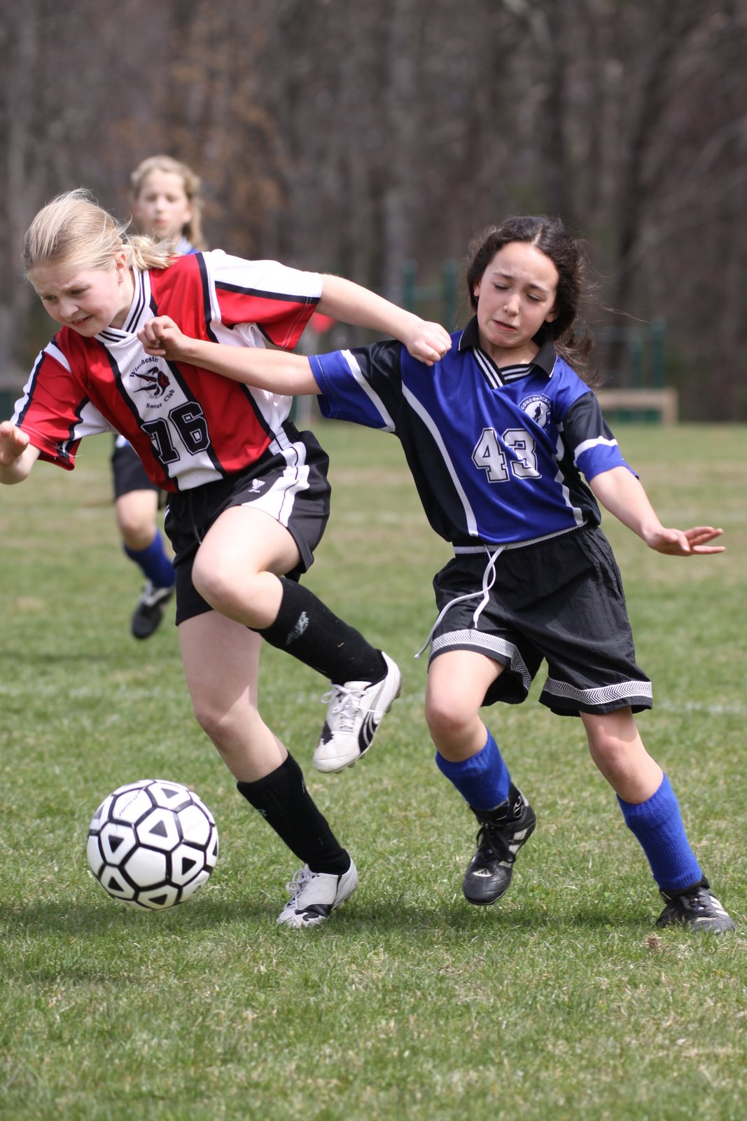 [2009-04-18+123413+6.JPG]