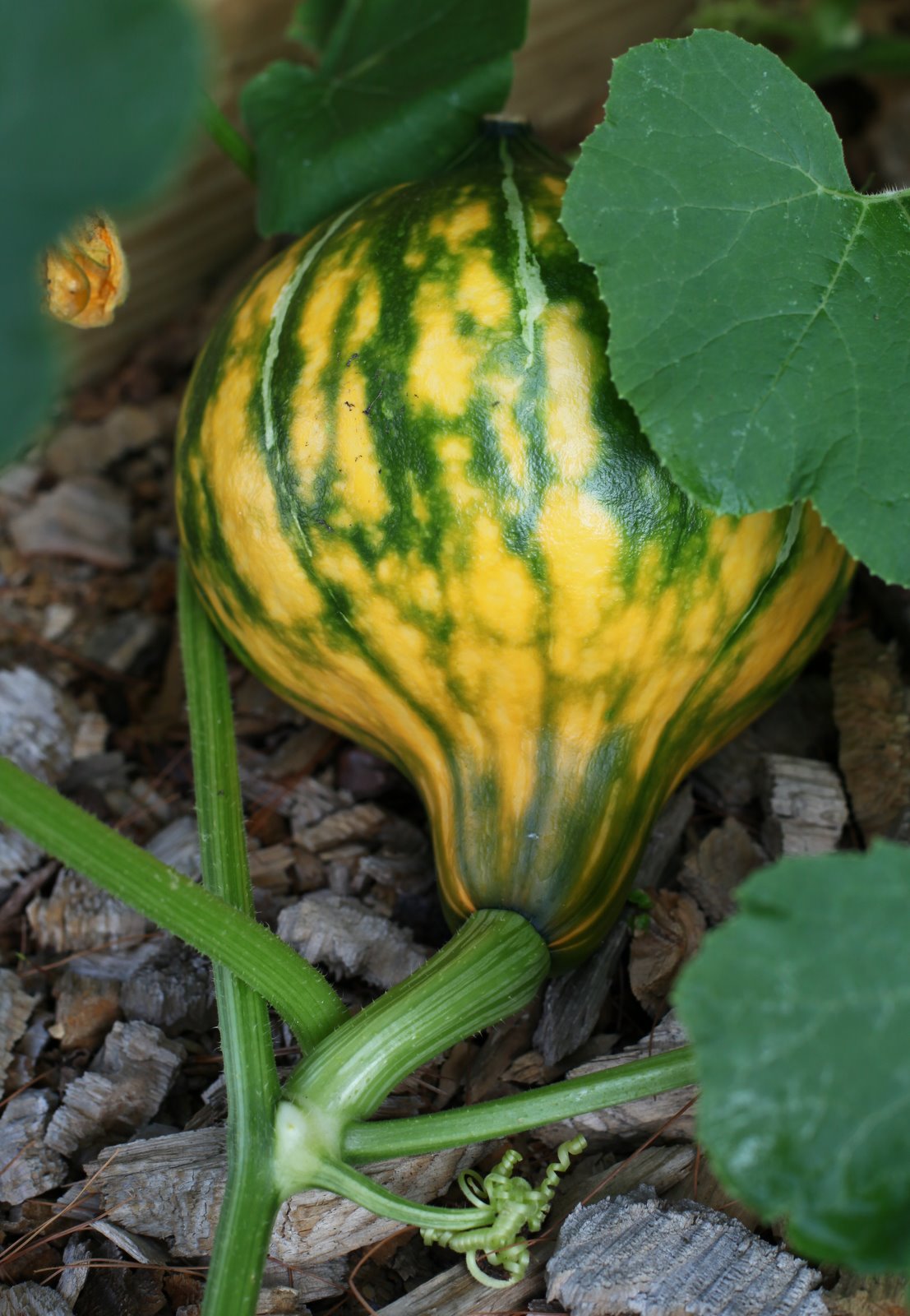 [2009-08-20+091434+9.JPG]