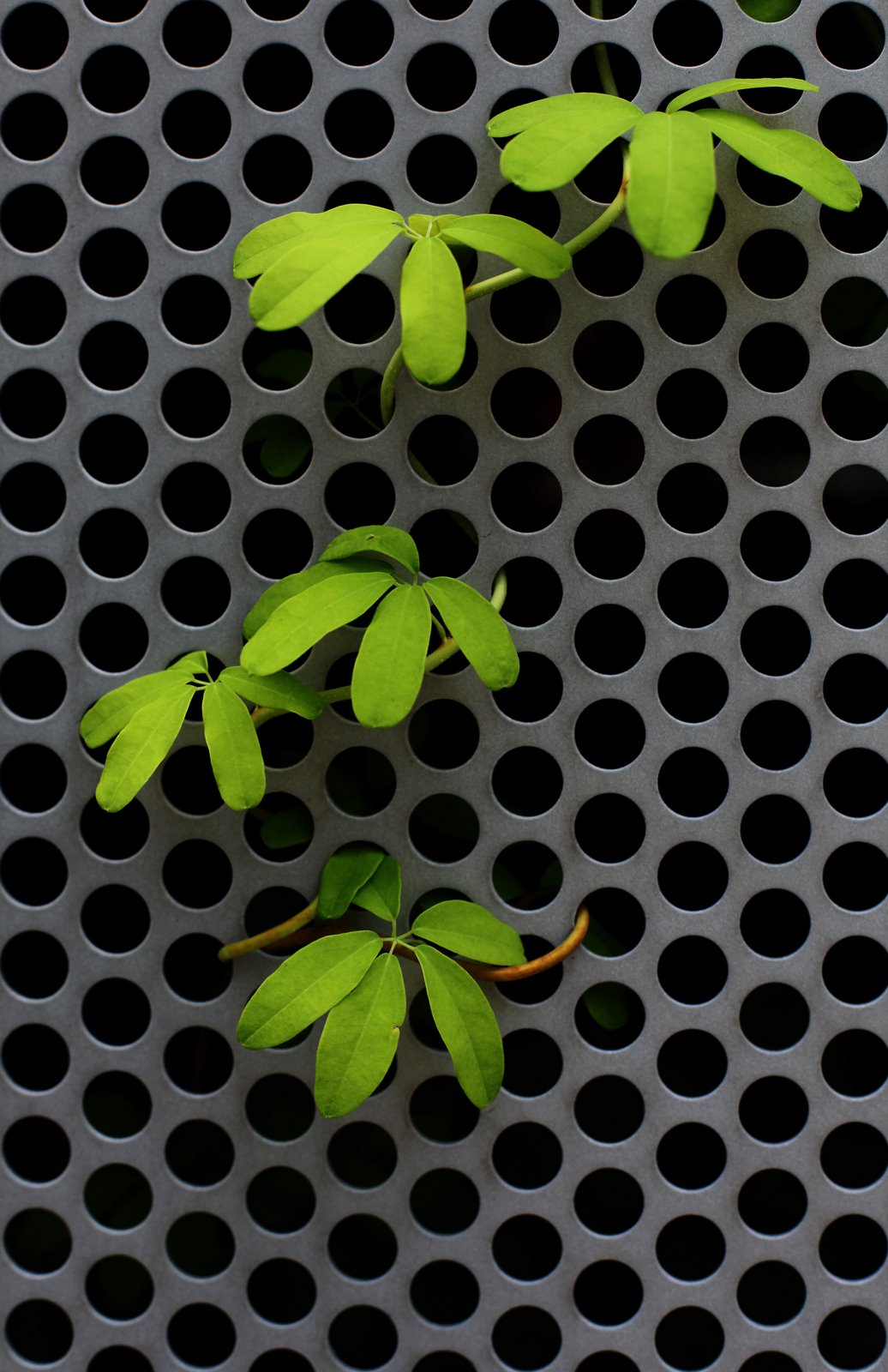 [2009-08-21+120112+2.JPG]