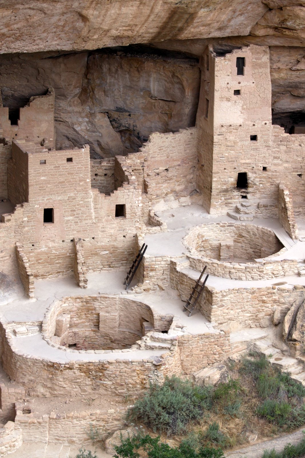 [2009-07-30+075114+5.JPG]