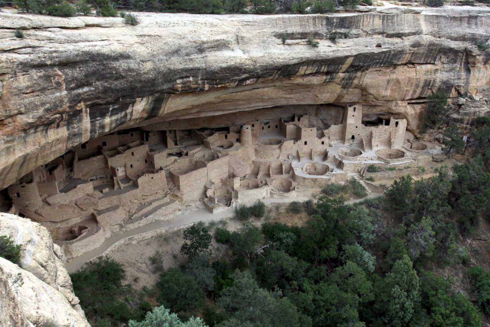 [2009-07-30+075236+8.JPG]