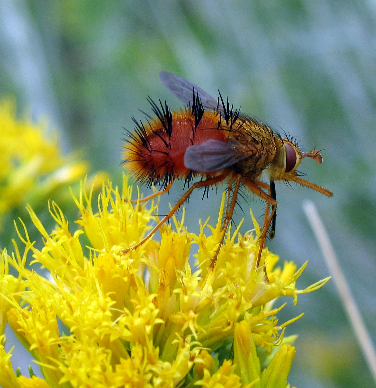 [2009-07-30+120739+3.JPG]