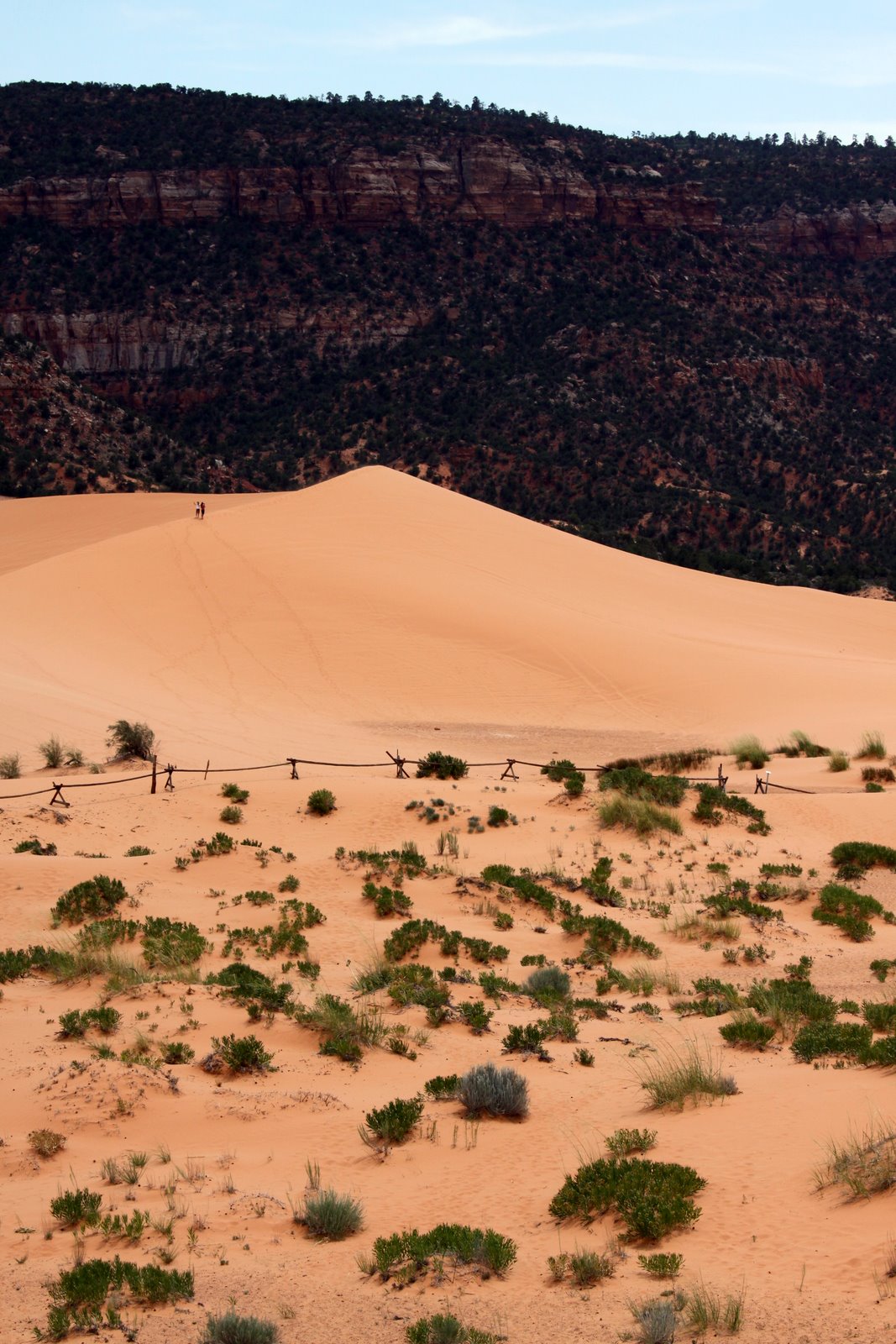 [2009-08-03+122057+1.JPG]