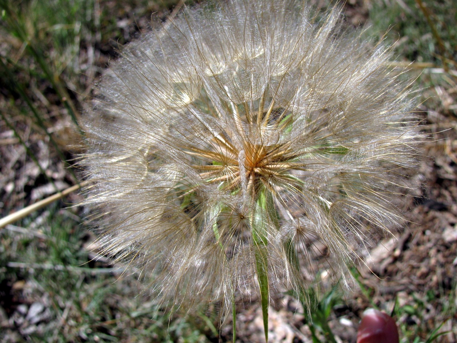 [2009-08-03+133237+8.JPG]