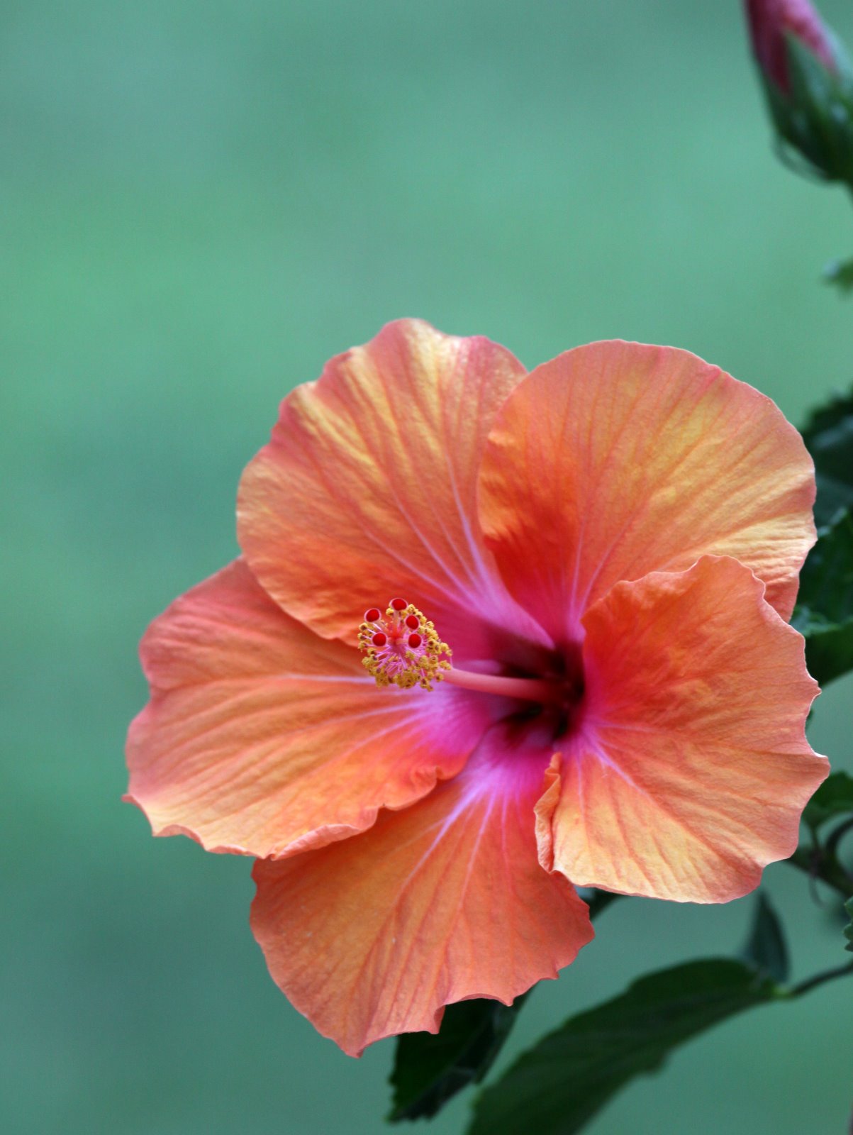 [2009-08-25+190919+7.JPG]