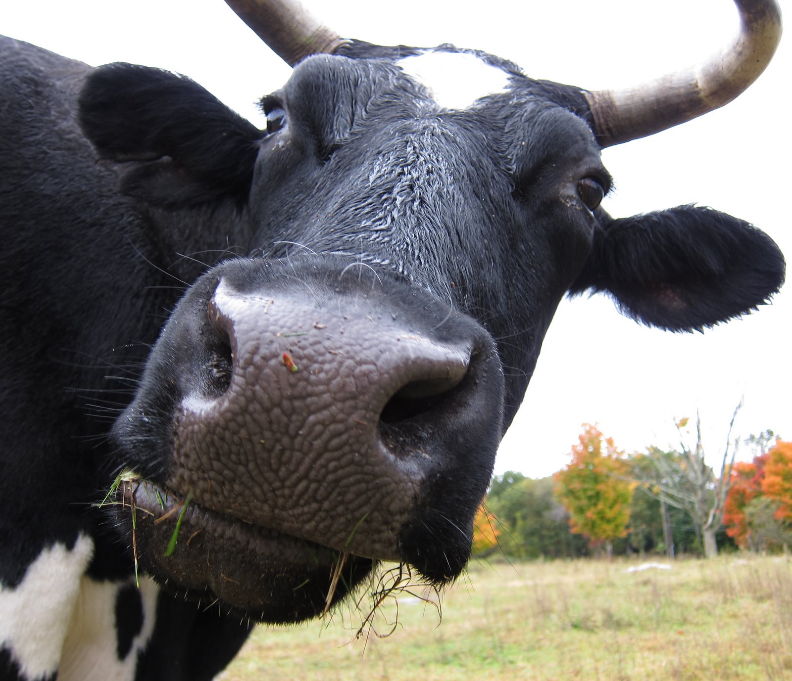 [2009-10-16+095758+1.JPG]