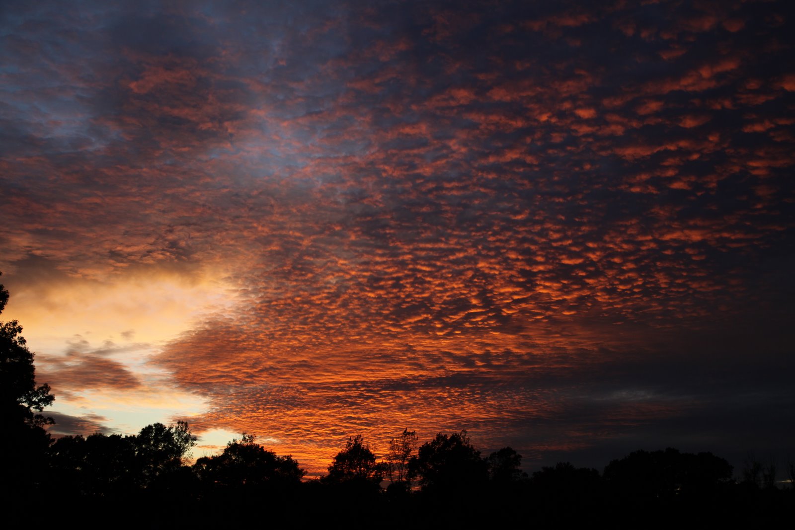 [2009-10-22+175750+0.JPG]