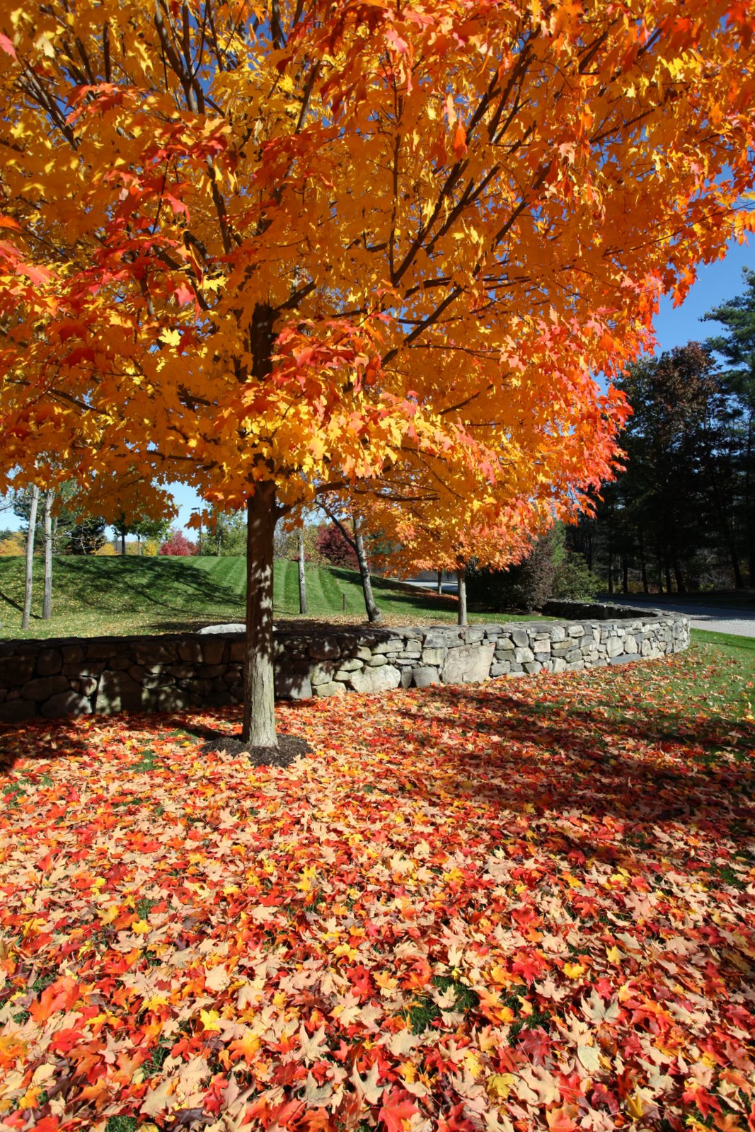 [2009-10-25+112508+860.JPG]