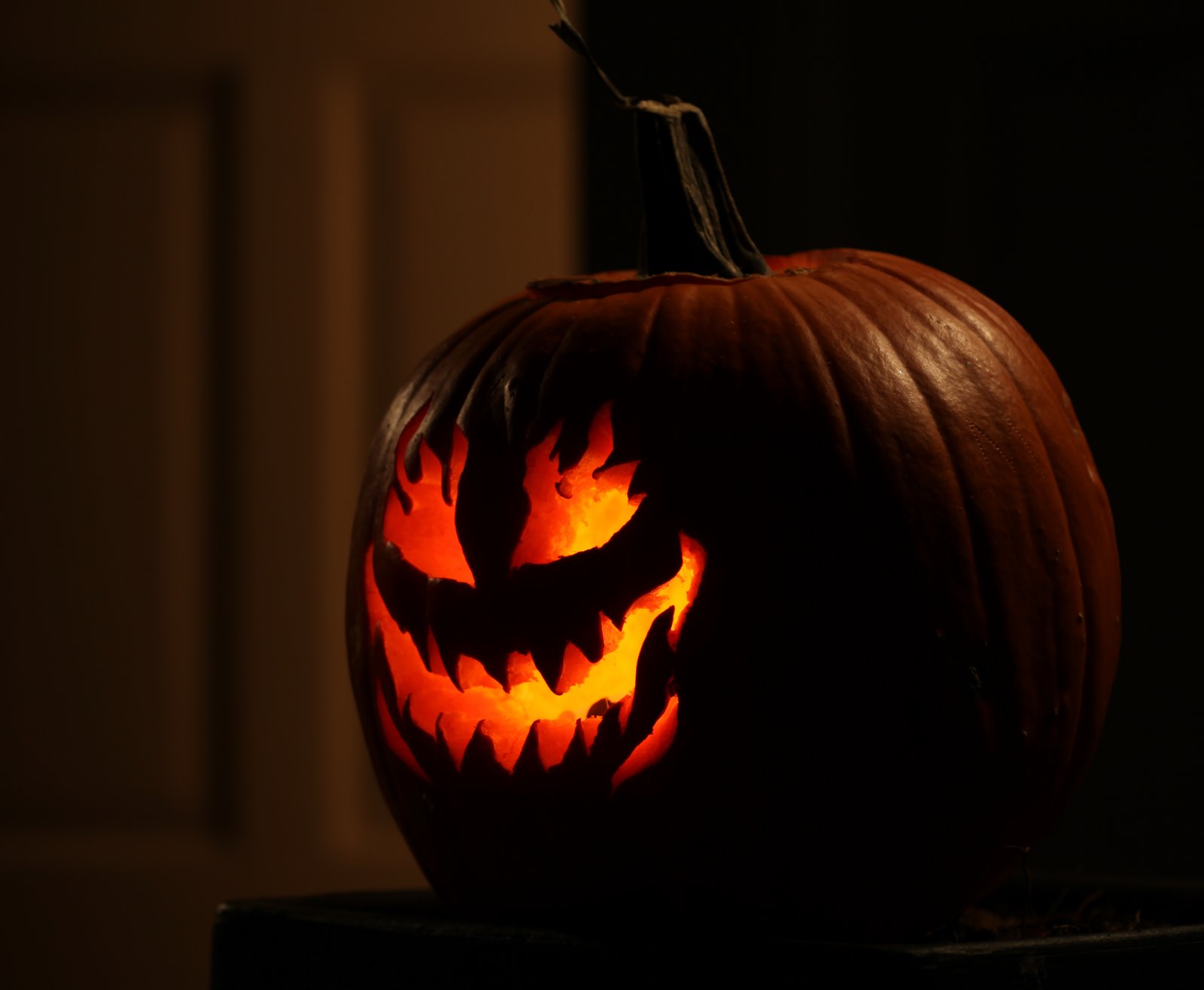 [2009-10-31+184858+973.JPG]