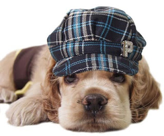 http://2.bp.blogspot.com/_gfA2nEHMMDc/Rz0K4lTklbI/AAAAAAAAAT8/yOB8Cai5D4A/s320/sad-dog.jpg http://2.bp.blogspot.com/_gfA2nEHMMDc/Rz0K4lTklbI/AAAAAAAAAT8/yOB8Cai5D4A/s320/sad-dog.jpg