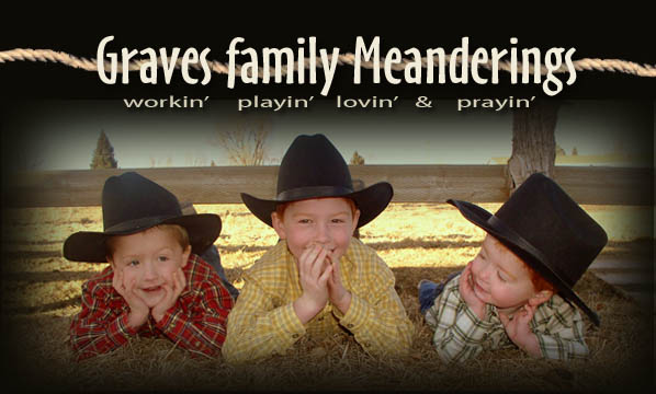 Graves Family Meanderings