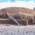 Cool Sand Sculptures
