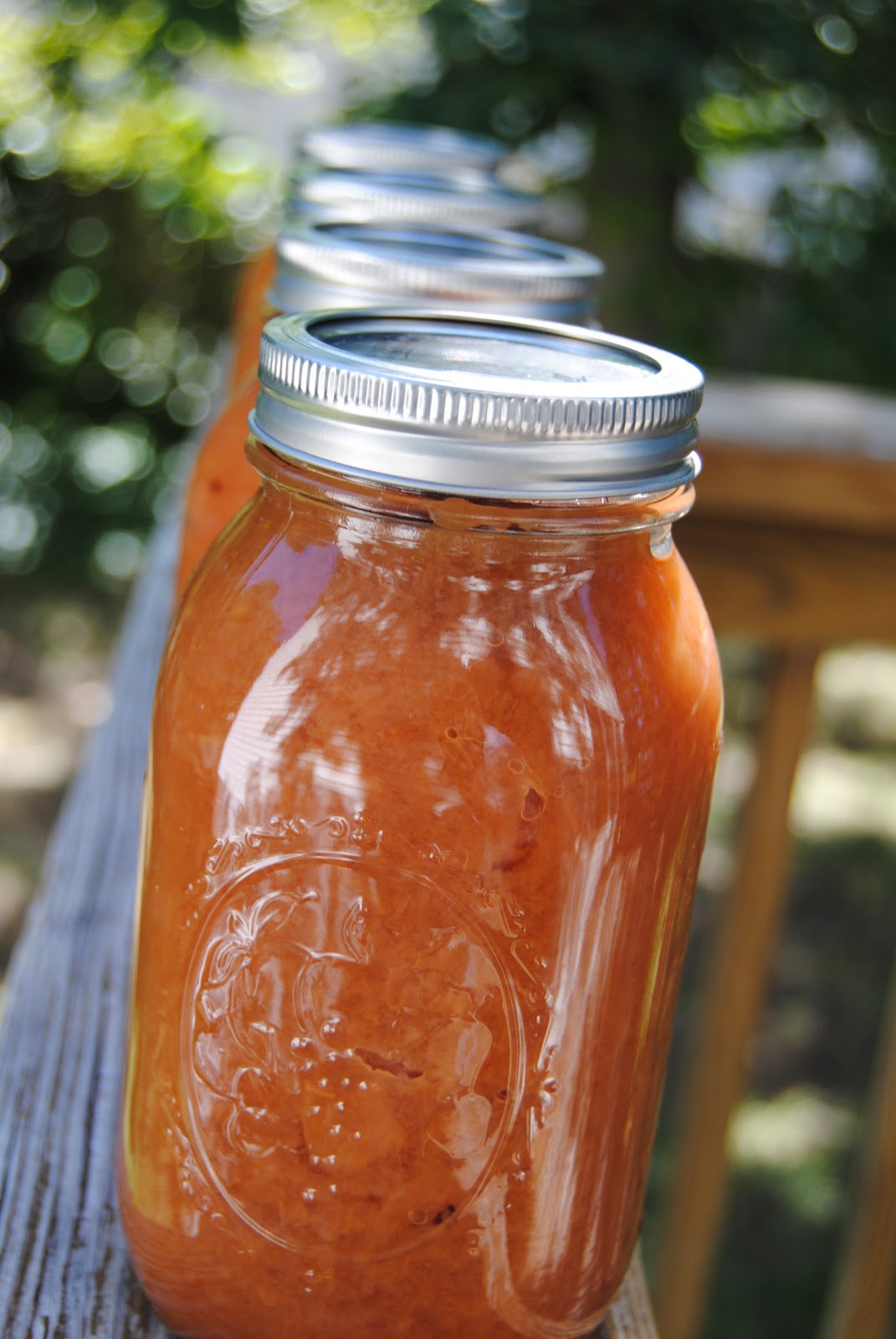 Tasty Sensations Home Canned Applesauce