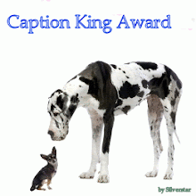 Caption King Award!