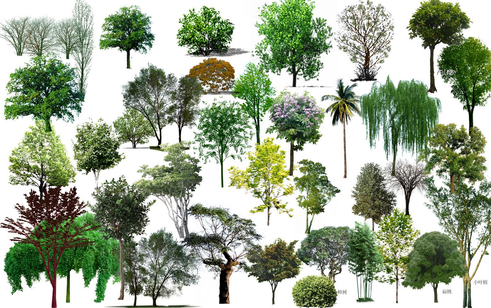 photoshop trees png