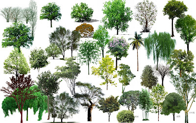 Artlantis-library: [Photoshop] Trees PSD on transparent layers