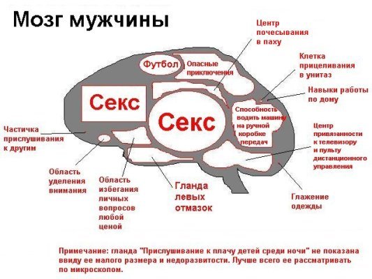 ЦИТАТНИК! НЕ ДУМАЙТЕ,ЧТО ДЛЯ УМНЫХ. - Страница 7 11699481