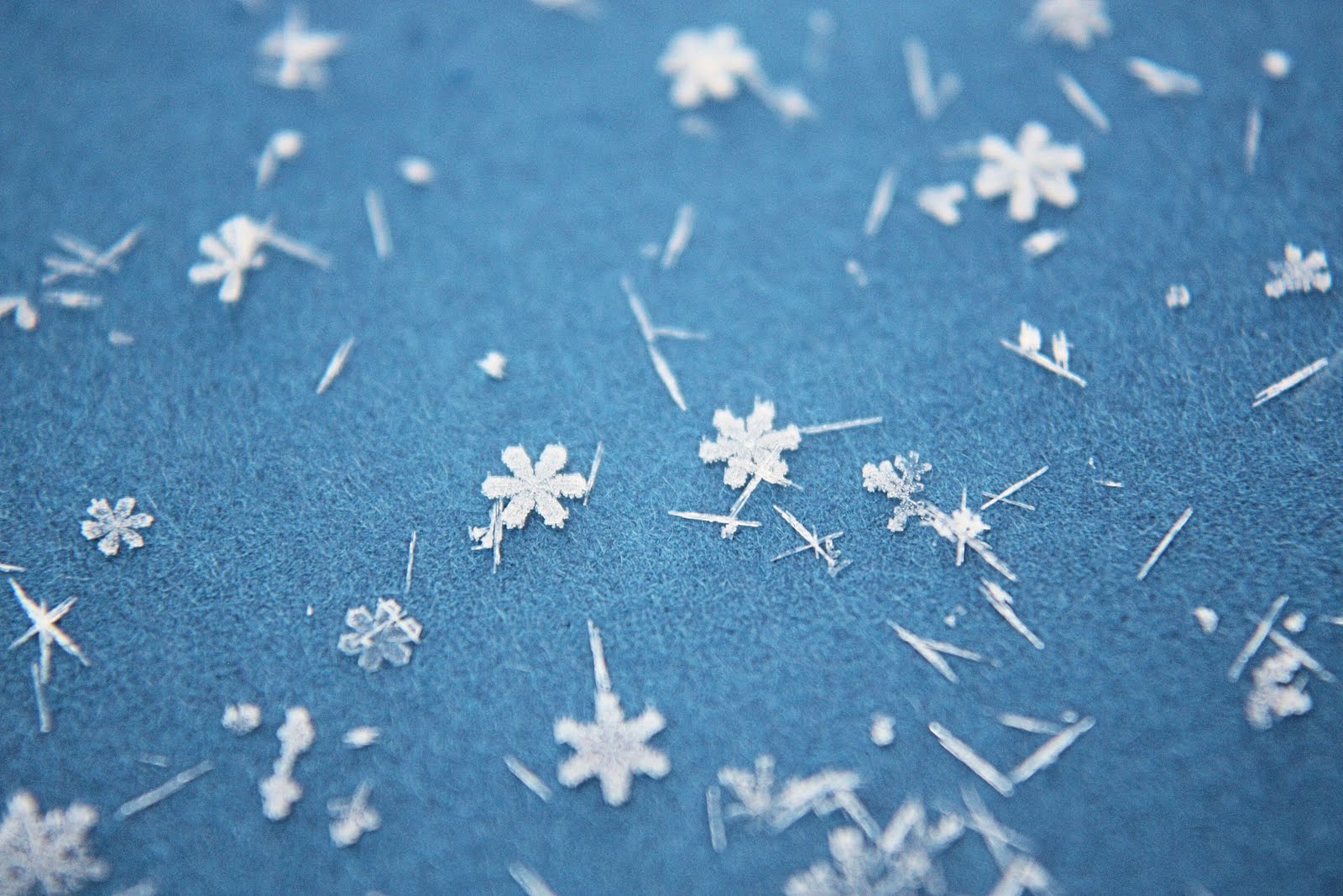 round the bend macro monday snowflakes round the bend macro monday snowflakes