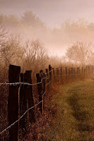 mist, - Images provided by http://photoforu.blogspot.com/
