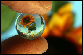Tiny worlds and microcosms - Abstract Photography ( photoforu.blogspot.com )