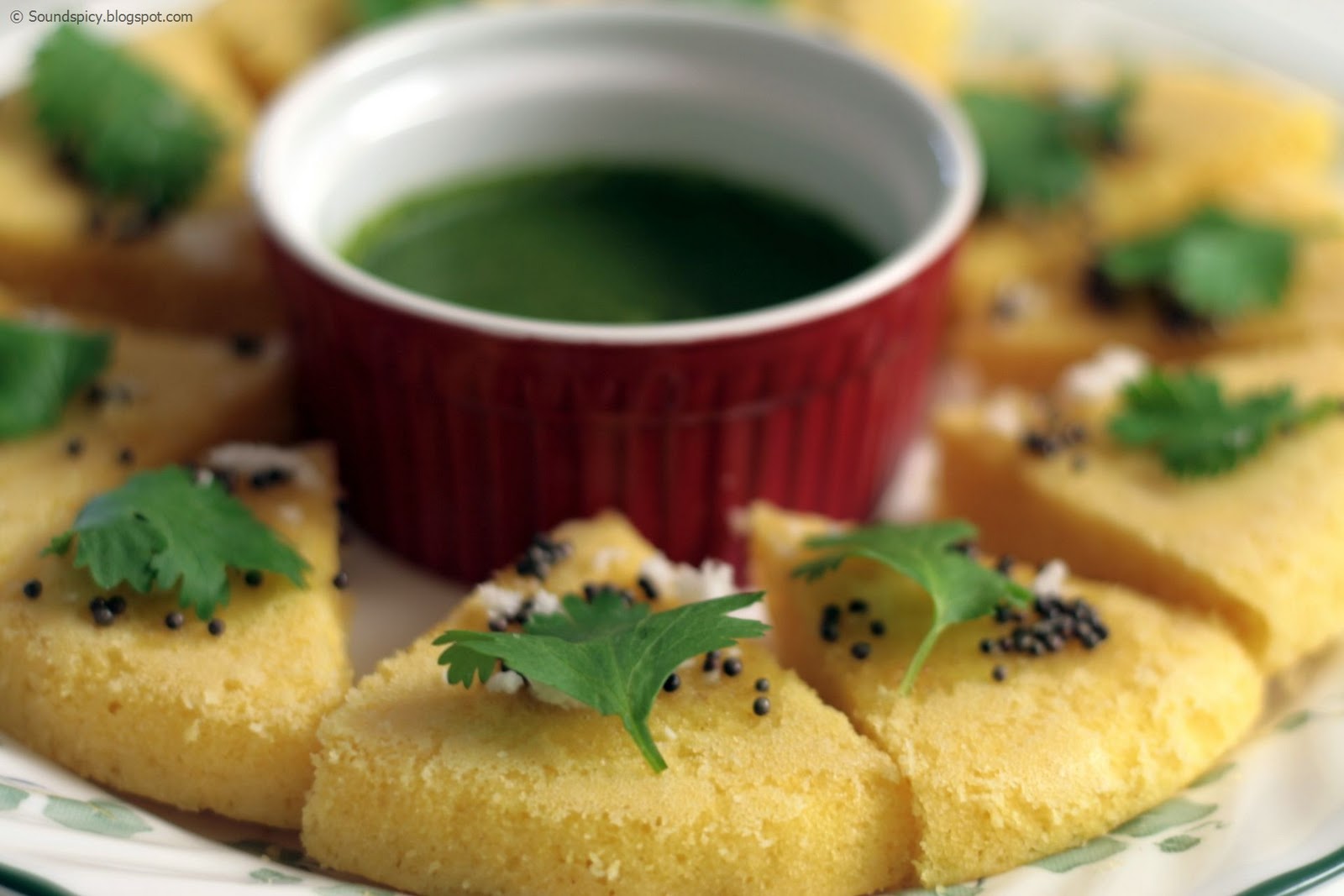 Dhokla and Corriander Chutney Sound'spicy