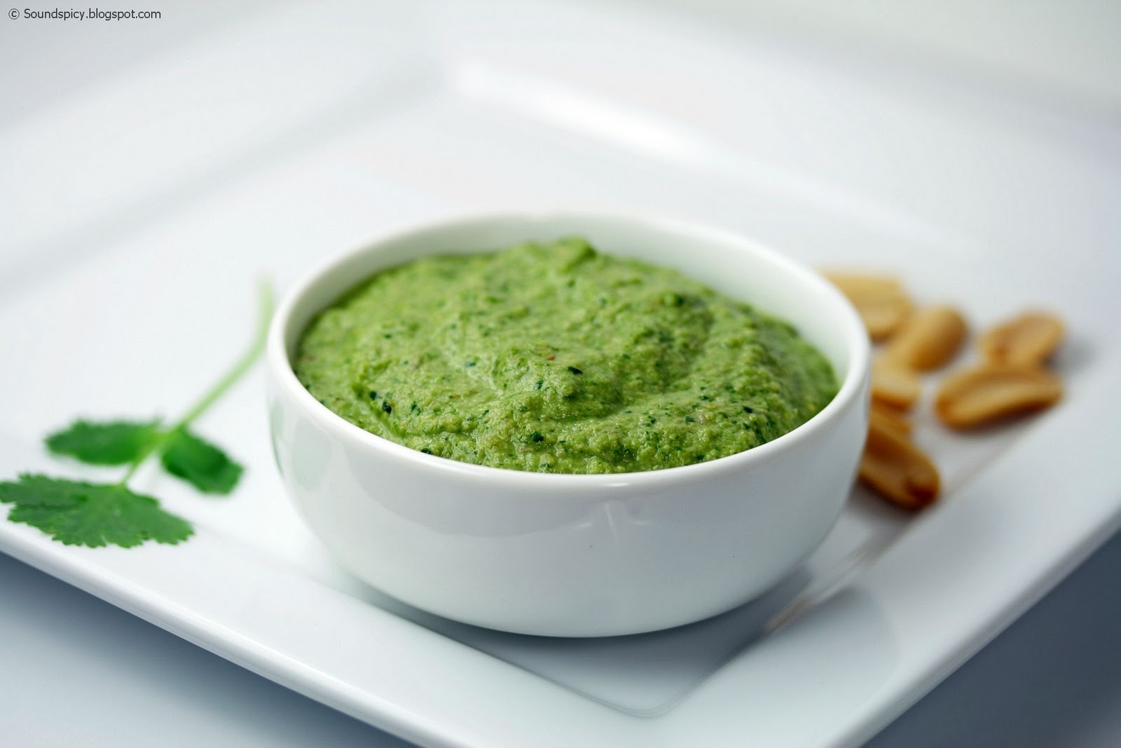 Peanut Cilantro Chutney Sound'spicy