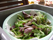 Fresh greens from the community garden