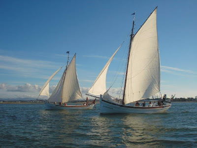Regata no Tejo