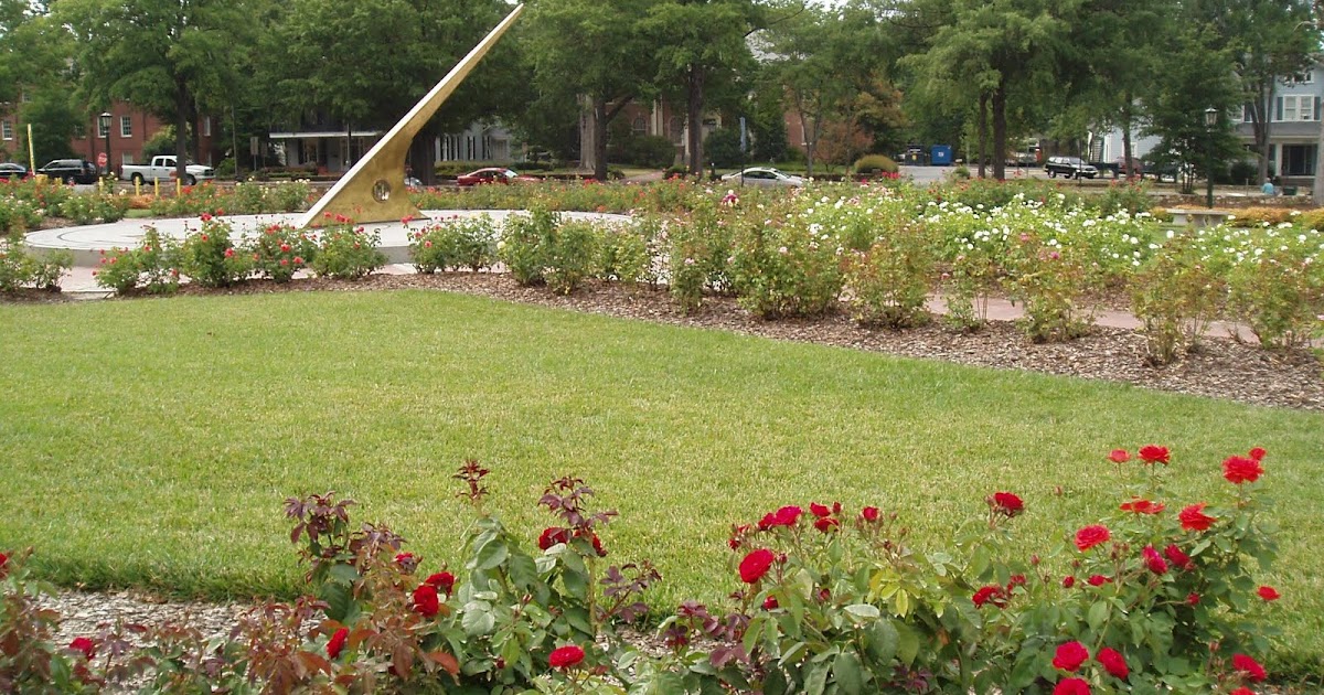 Home Garden Design,Home Garden plans: Rose in Garden