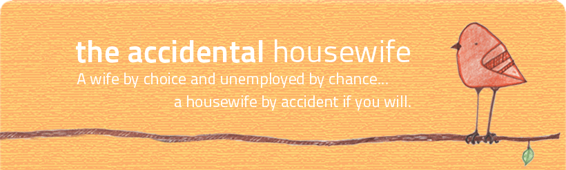 the accidental housewife