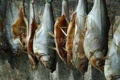 Salted fish