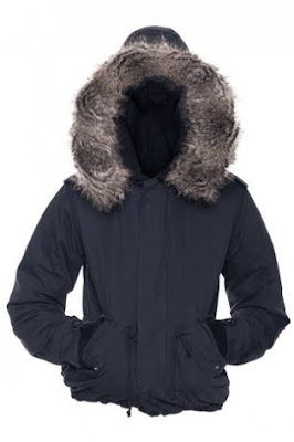 Aritzia Winter Jacket