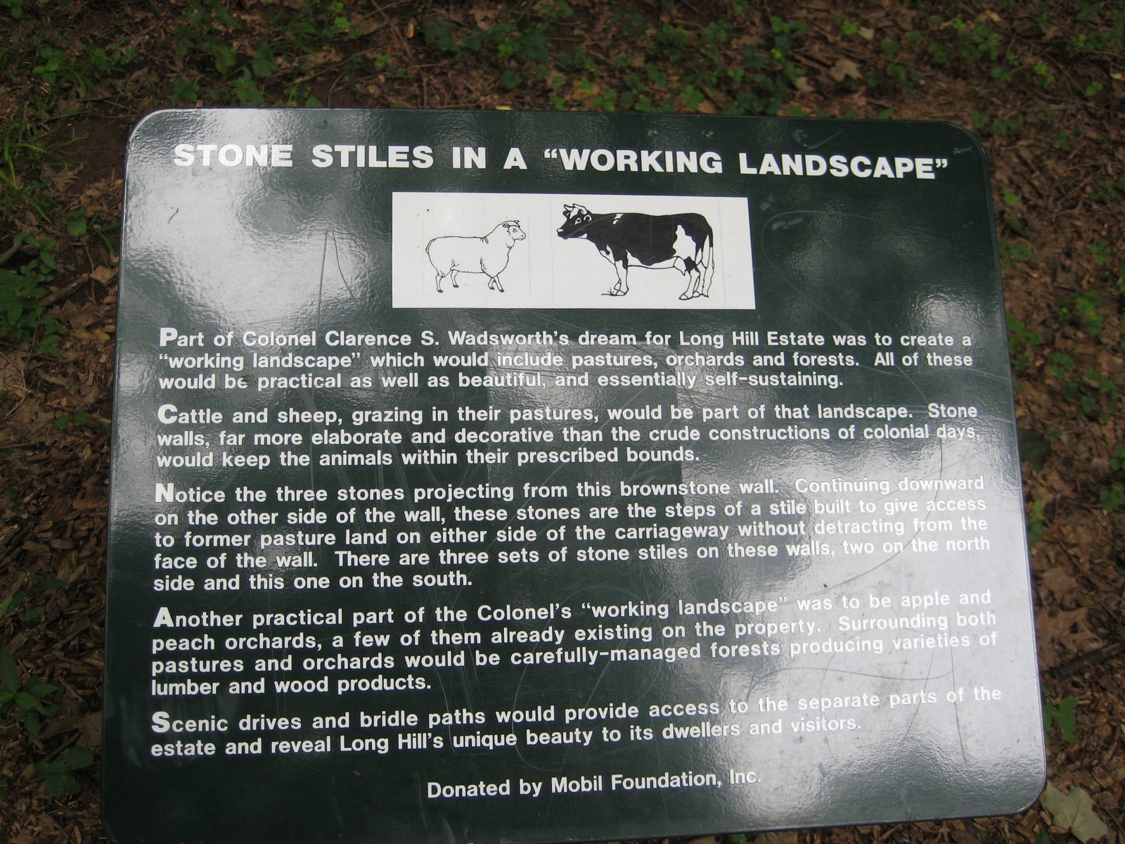 [Stone+Stiles+in+a+Working+Landscape+(2).JPG]