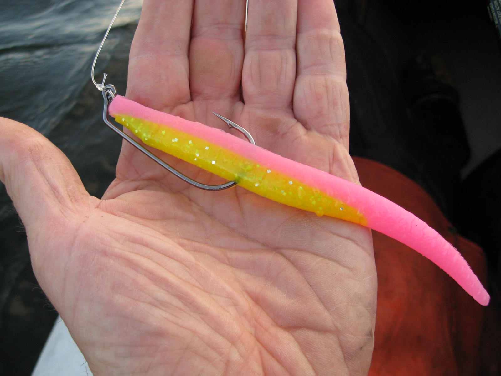 Rhode Island Striped Bass Electric Chicken is Hot Color