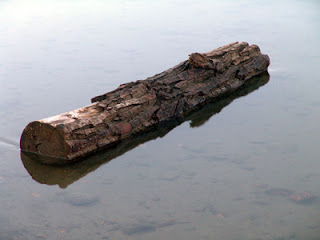 Log.jpg