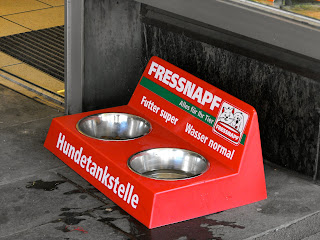 hunde+tankstelle.jpg