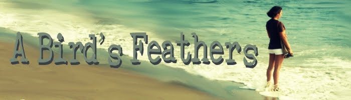 A Bird's Feathers