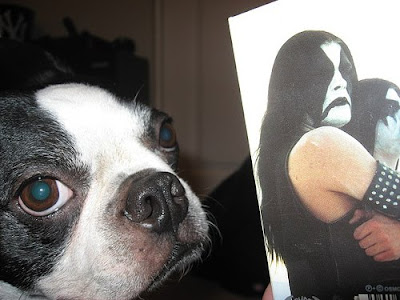 Abbath%20dog.jpg