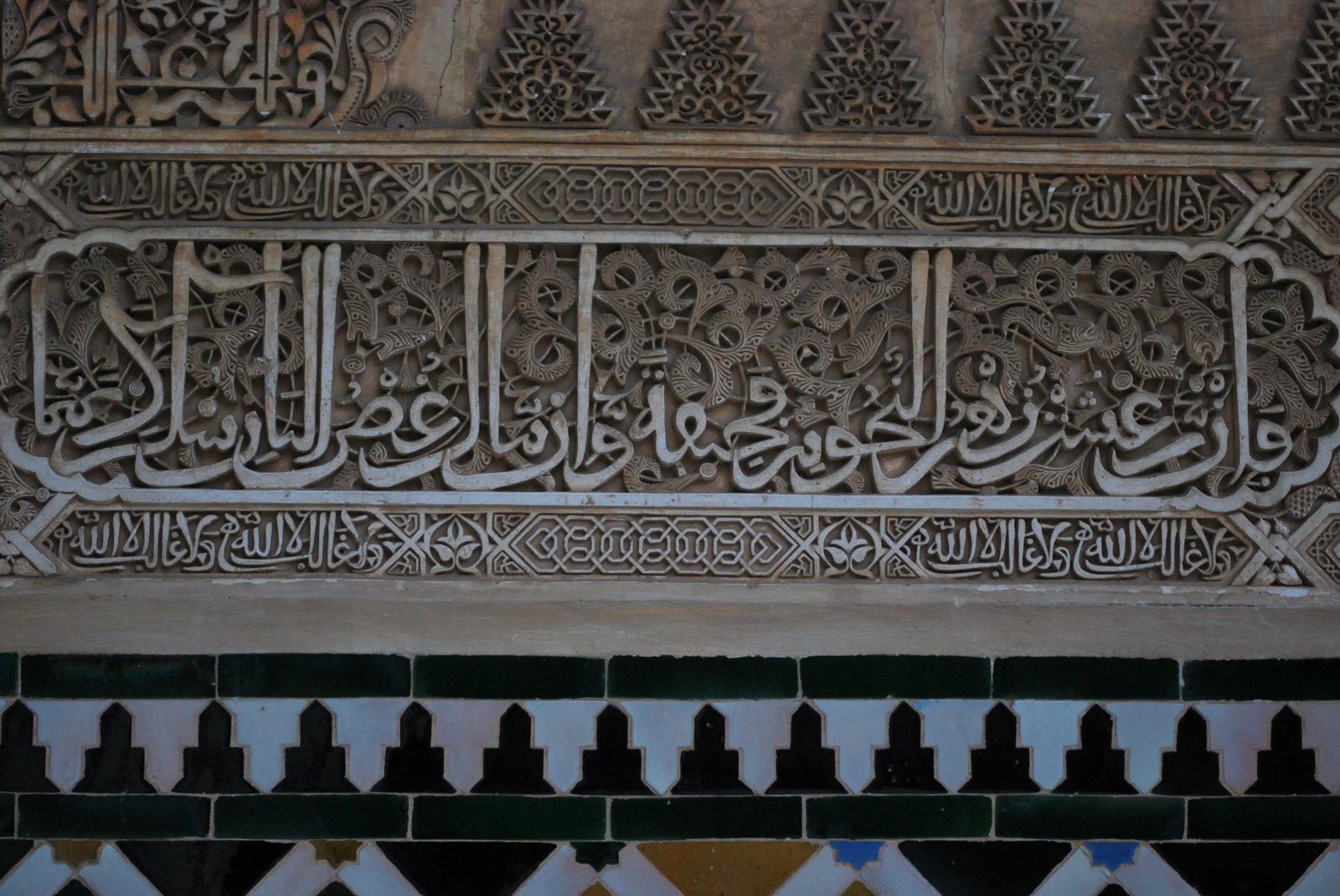 [DSC_5482.JPG]