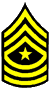 lieutenant lieutenant