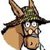 [Burro-comments.jpg]