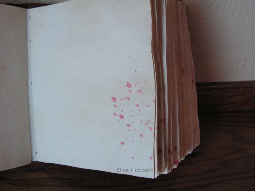 Journal survival essay 08 picture