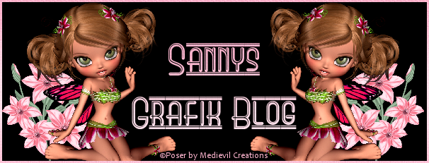 Sannys Grafik Blog