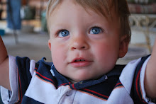 Gavie-pie