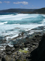 South Cape Bay and Lion Rock - 28th January 2008