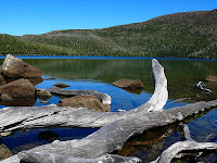 Logs at lake outlet, Lake Skinner - 15th March 2008